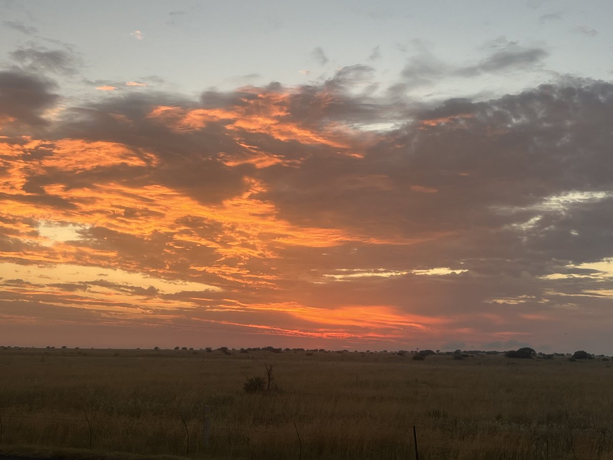 Paseka Pienaar tweet media