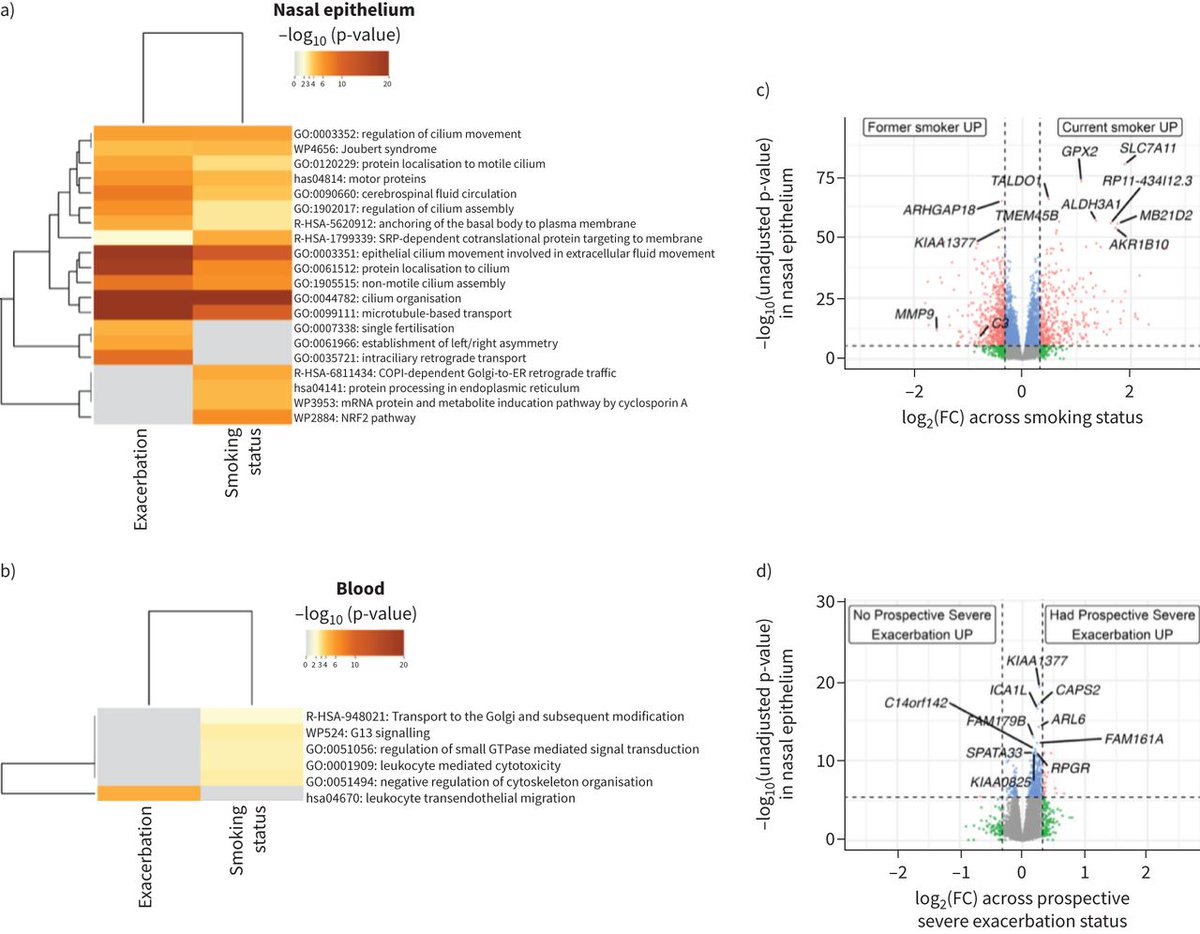 ERS publications tweet media