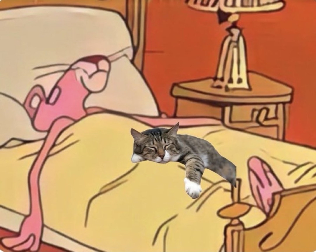 — ¿Y qué tienes pensado hacer el 14 de Febrero? 
— …