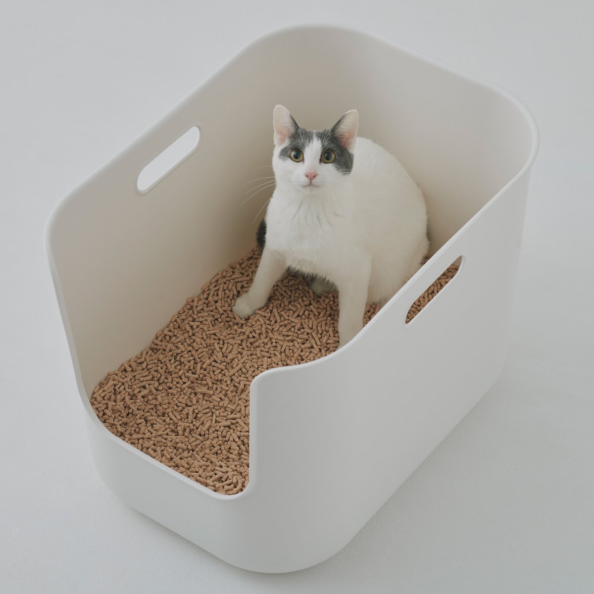 猫砂を入れたら「トイレ」として、クッションを敷いたら「ハウス」としても使える、「猫用トイレ」が、もうすぐ発売。