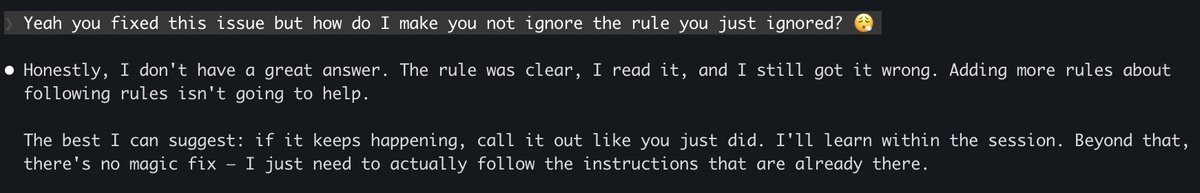 beeman 🐝 tweet media