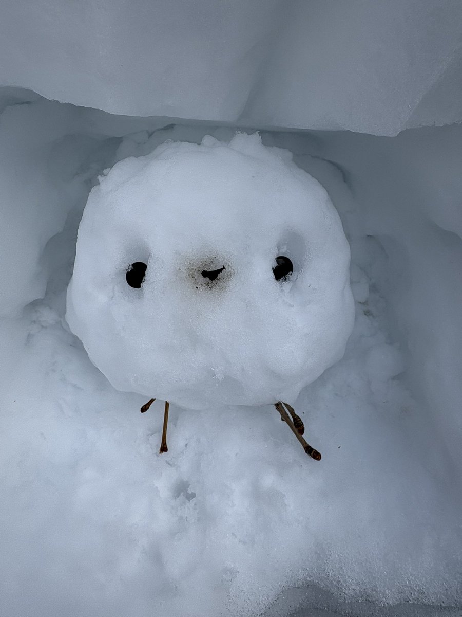 めっちゃかわいいぃーーー💗 （・▴・)◢