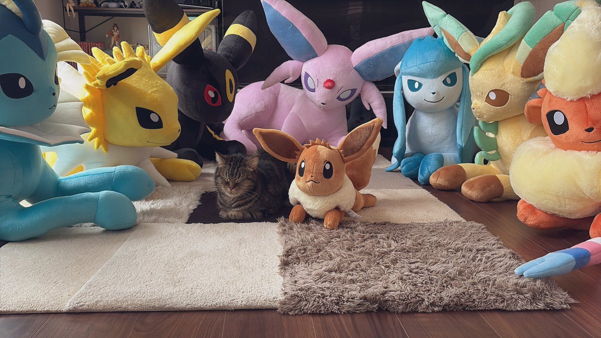 🫧みるくここあ🫧3/20ポケミク参戦❣️ tweet media