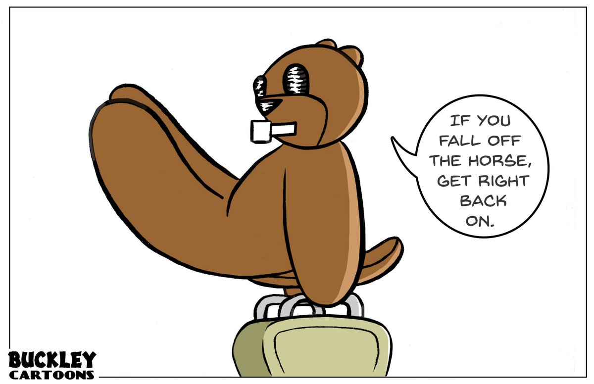 BuckleyCartoons's tweet image. #Inspiration #Horse #Fall #Gymnastic #Cartoon #Beaver