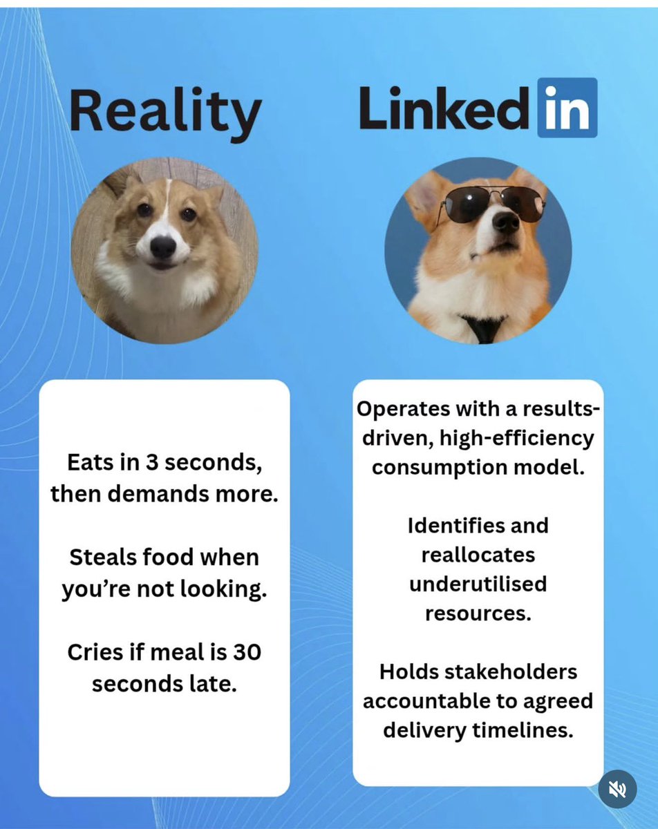 Carmelita Canales tweet media