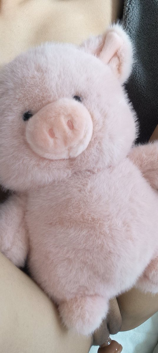 BBHluo's tweet photo. 最近宅家状态belike🐷 https://t.co/eqPGzXYs7R