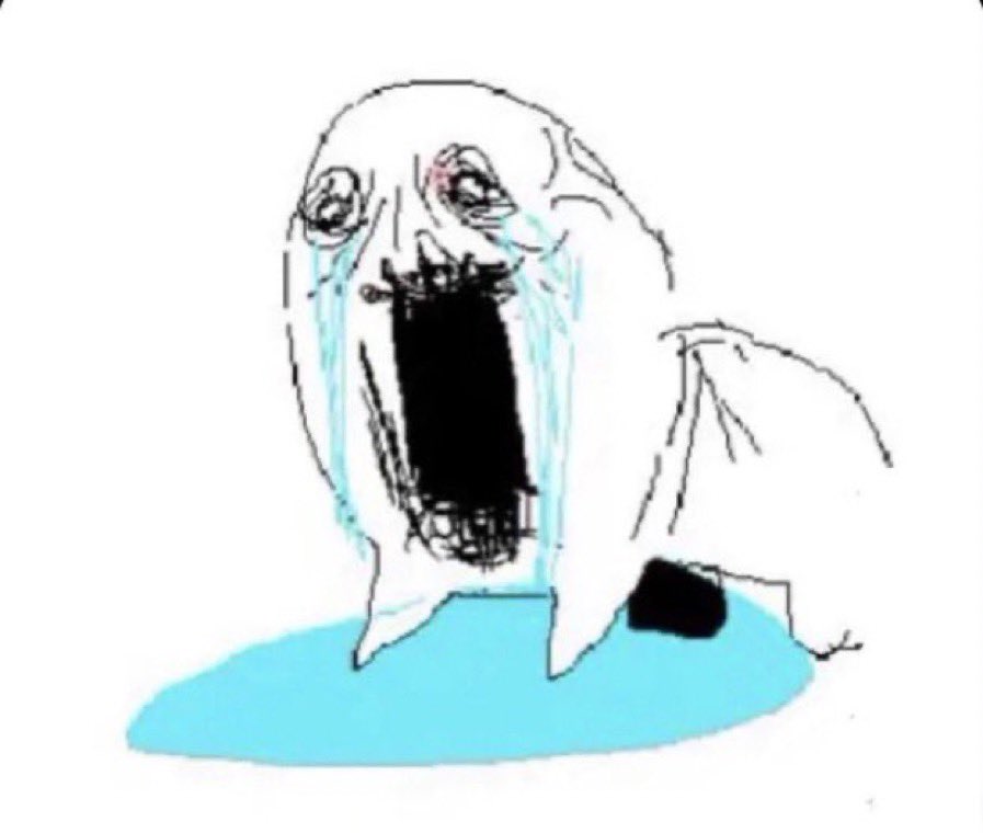 Max/Dall 🪰 tweet media