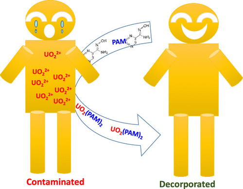 bhkenlo's tweet image. Uranium Chelation by Pyrazine-2-amidoxime: Speciation, Decorporation, and Computational Studies | Inorganic Chemistry pubs.acs.org/doi/10.1021/ac… Dumpala, Sadhu, Kumar, and co-workers @InorgChem #uranium #pyrazine_amidoxime #speciation #decorporation #DFT