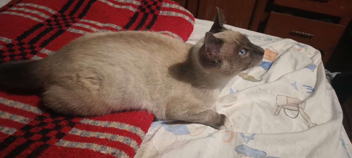 Masterwars tweet media