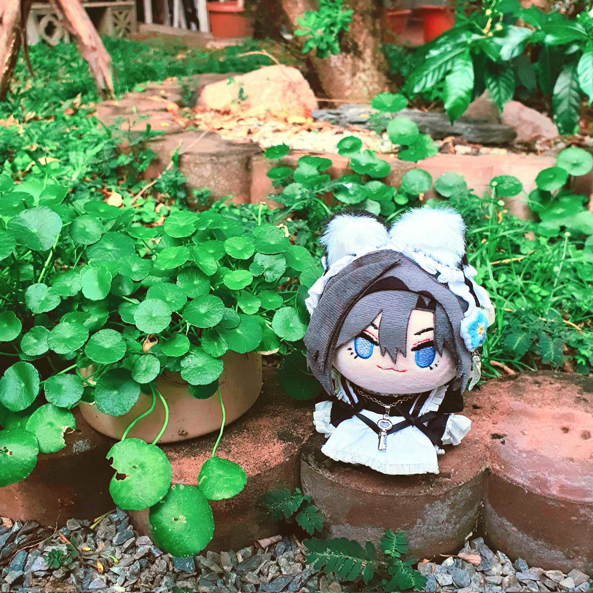 #dear_u_san
🍰 🫖 🍀