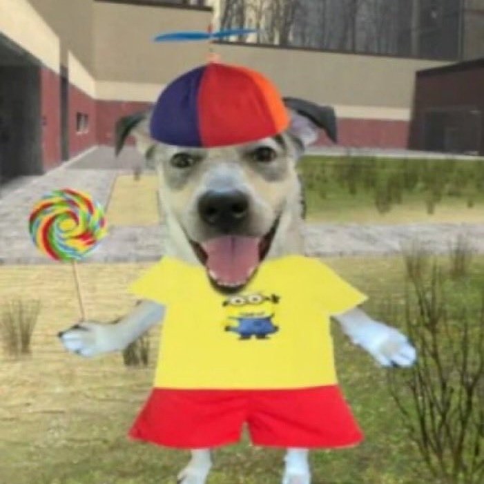 me bored tweet media