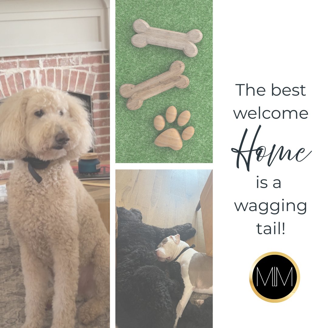 The best welcome home is a wagging tail. 🏡🐾

If your dog has officially taken over the couch, the yard, and maybe your whole life… it might be time for a little more space. 

Dale Conner | Mississippi Magnolia
📲 662-546-1769
💻 SellWithDale.com

#SellWithDale