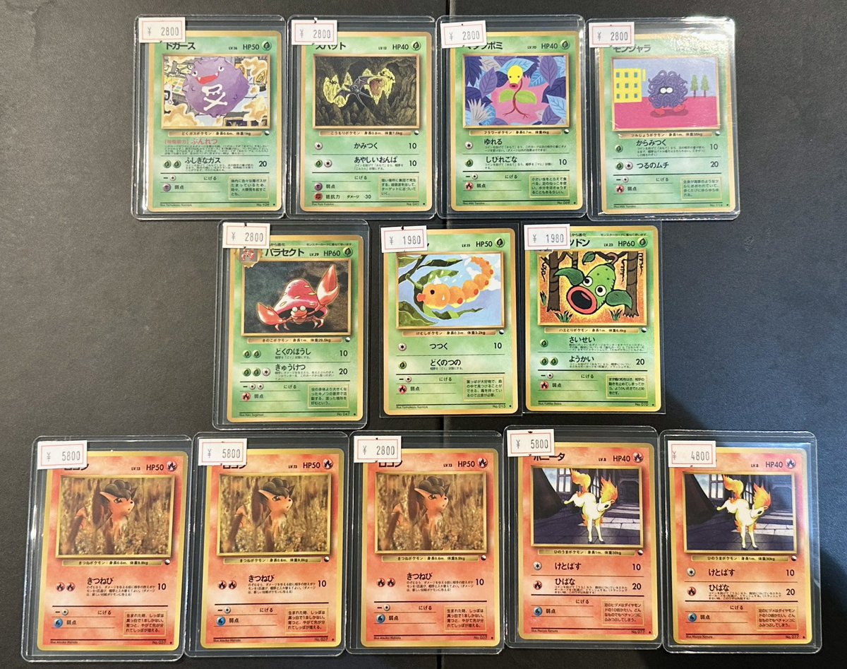 VALUABLE CARD TOKYO 2F入荷情報📢】 ／ 🆕【拡張シート】ポケモン