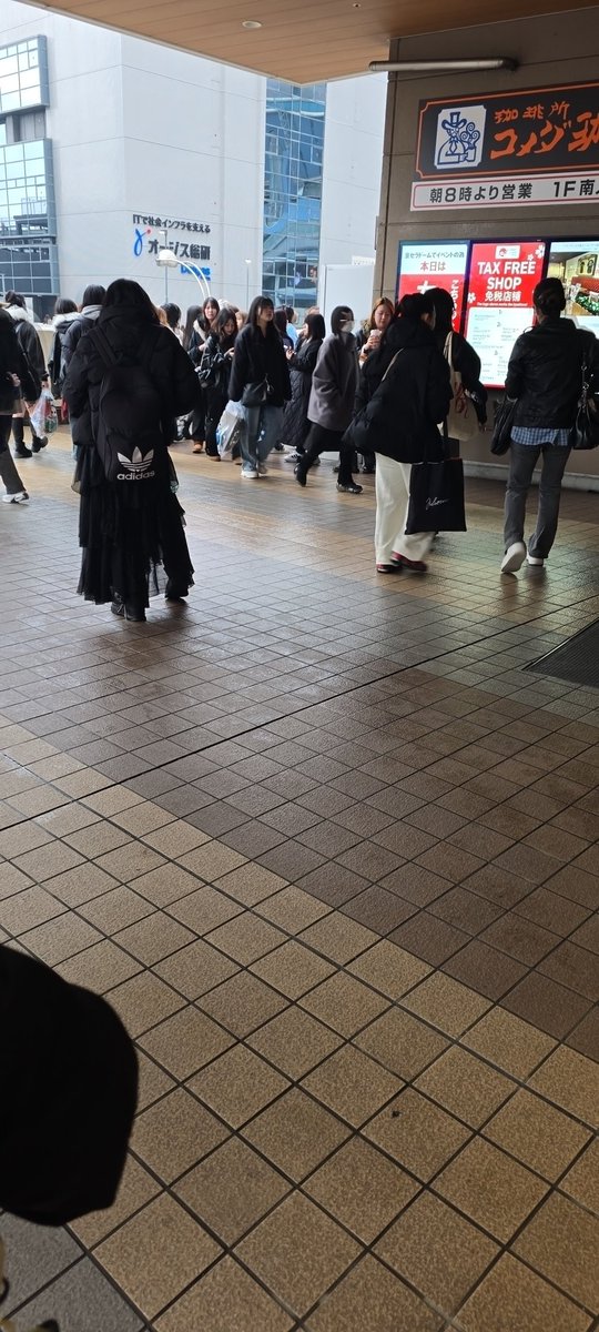 らびっと(라비) tweet media