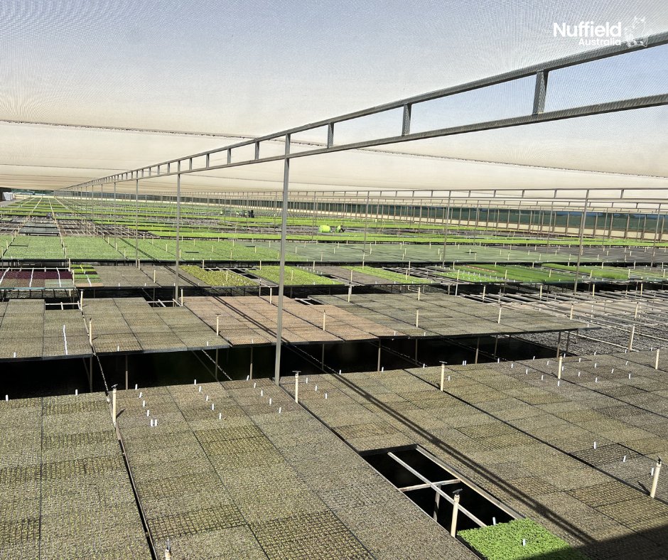 Nuffield Australia tweet media