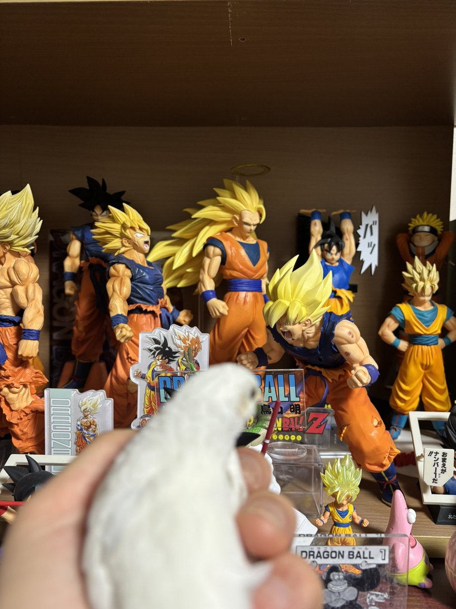 ポポチョロ🐦💨 (@1b4fc39ec9e04d3) / Posts / X