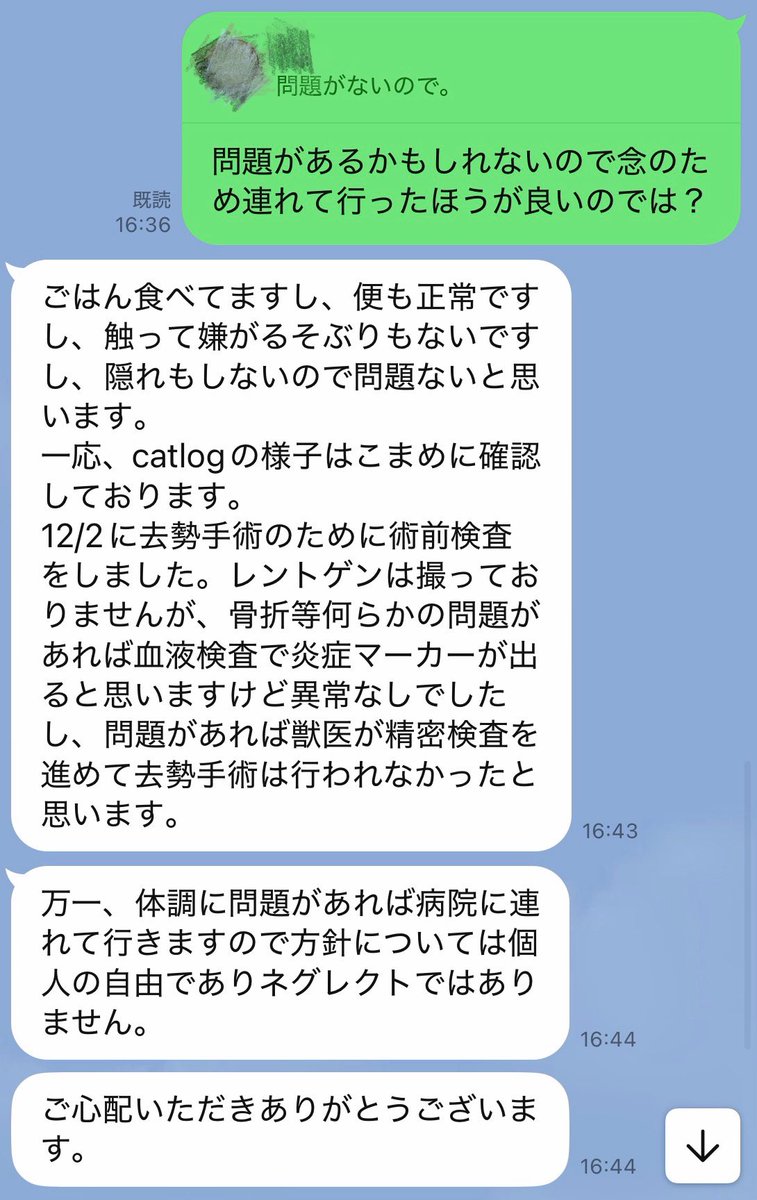 飼い主も同罪な気がしてきた