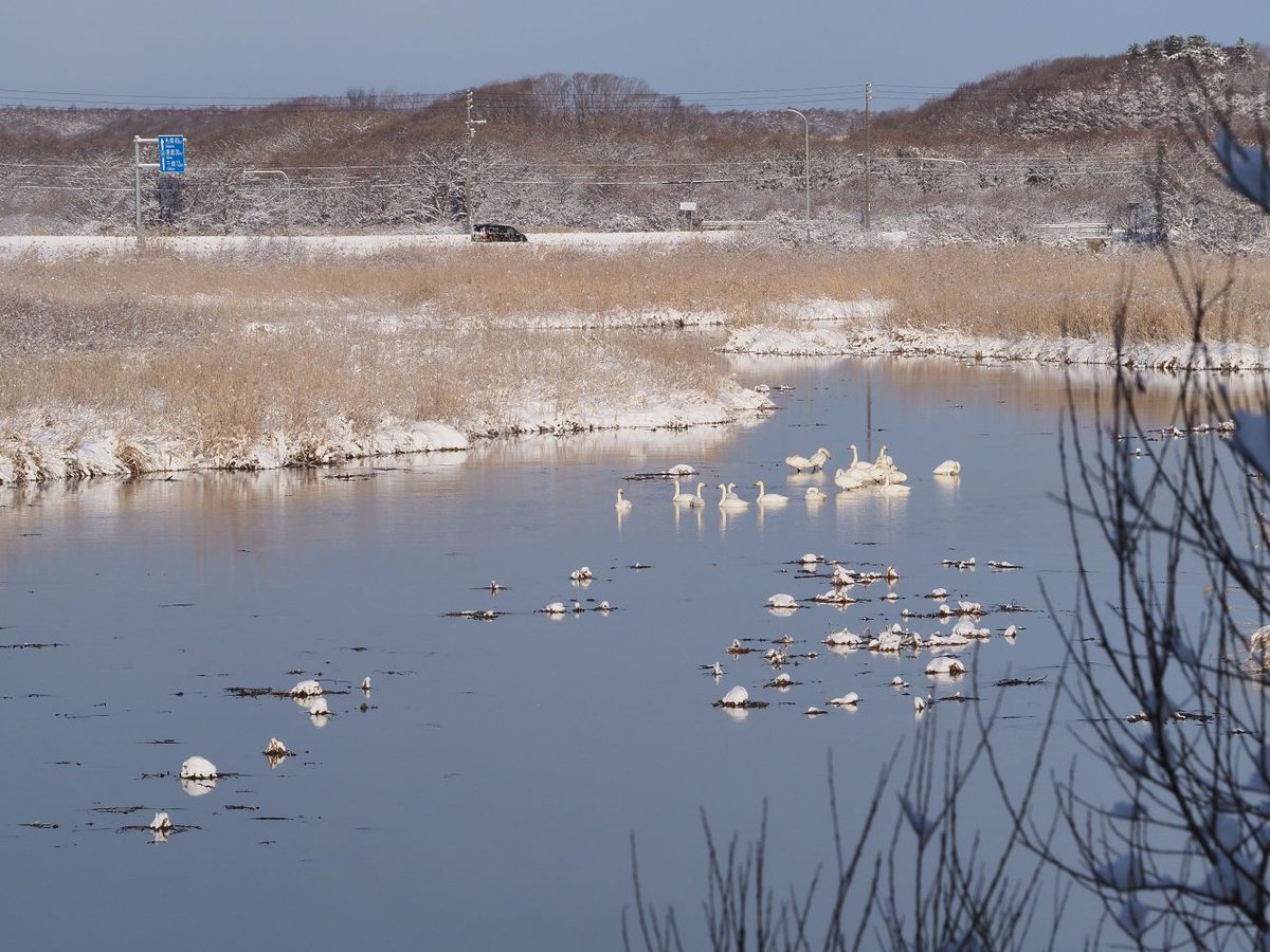 【ラジオ放送のご案内】
FMとまこまいで美々川カヌー下りについて放送されます。ウトナイ湖の水の源にもなっている美々川の様子をぜひお聴きください。
詳細はこちらからfacebook.com/UtonaiNatureCe…
