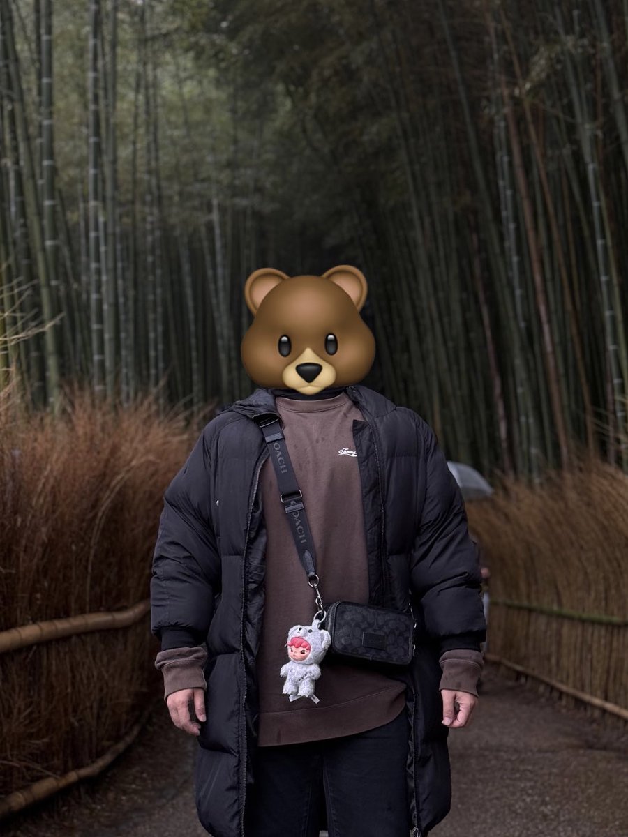 bear back to habits 🐻🎋🇯🇵