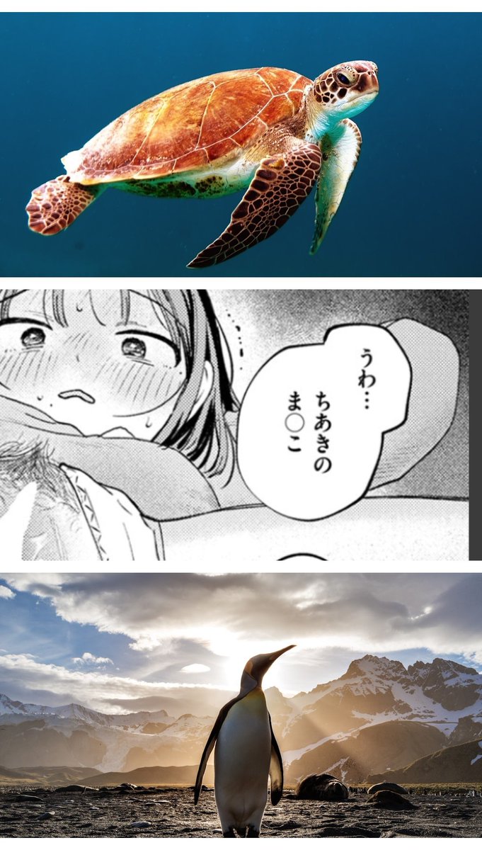 popin0506's tweet photo. くぱぁ
(1/6) SFW https://t.co/bTUsdE59HI