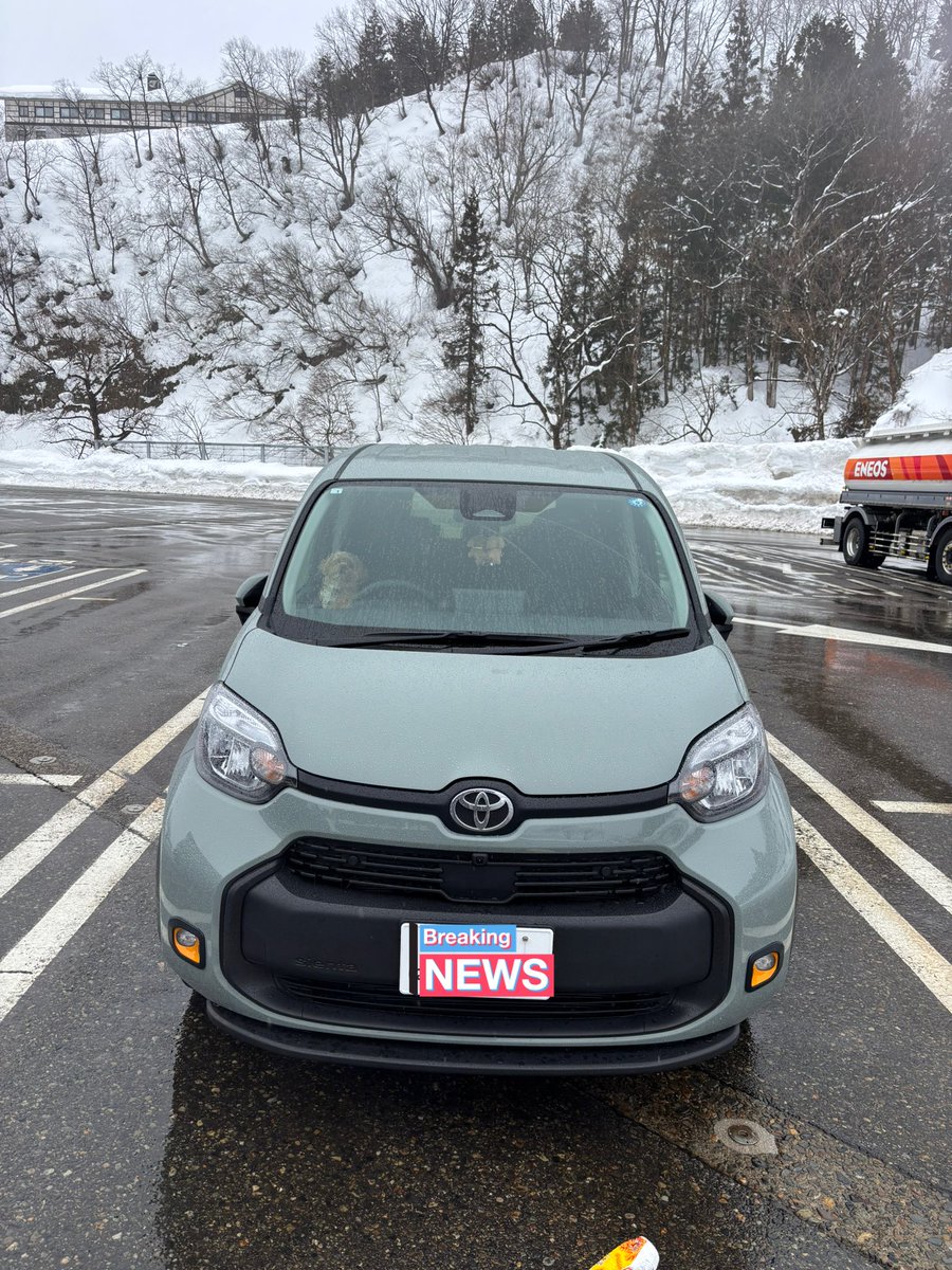 yuruk1232's tweet photo. my new car
TOYOTA sienta https://t.co/X0kNVyRx2T