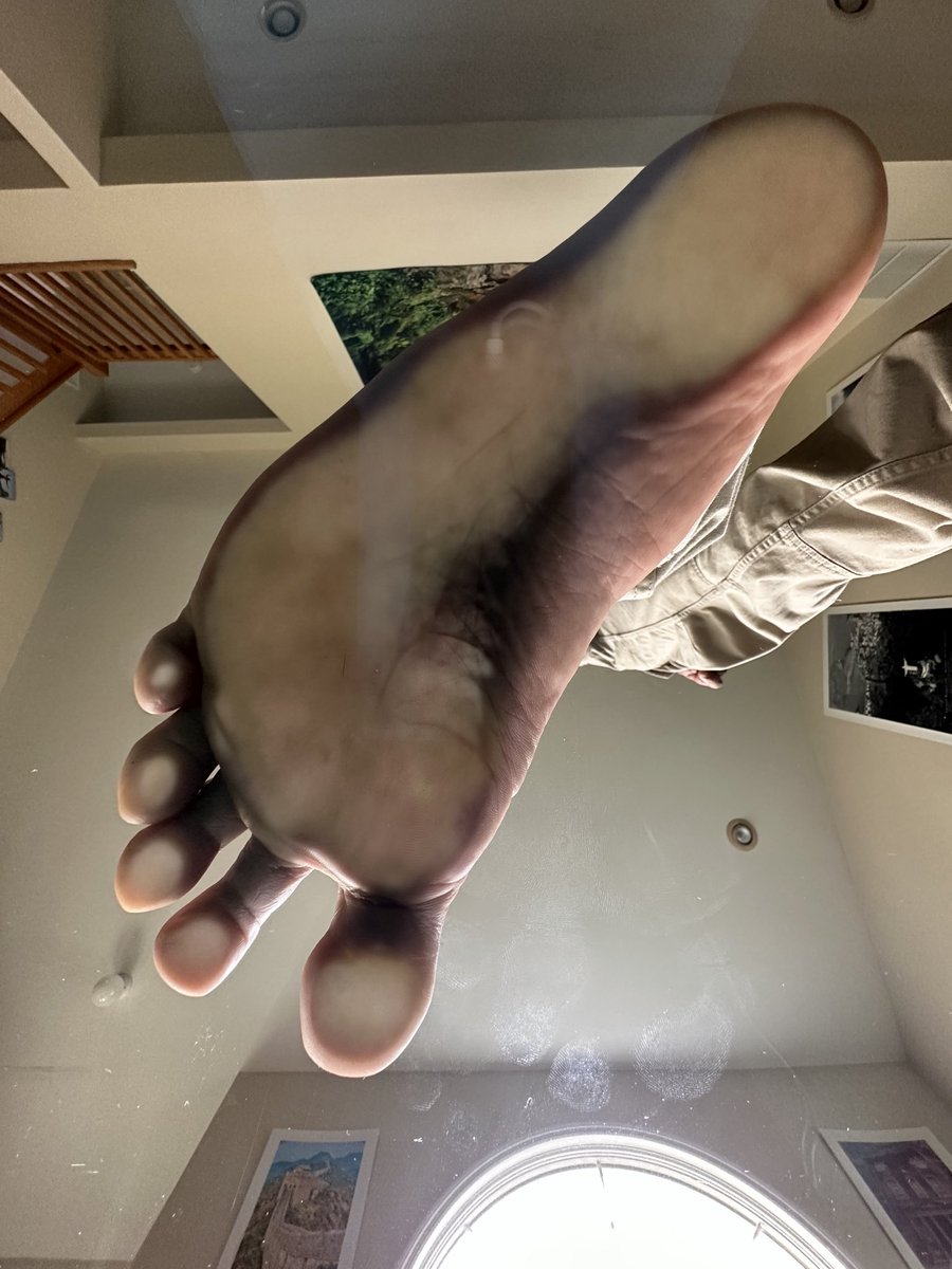 tacktyle tweet media