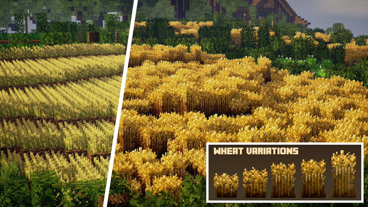 Itsvoidion's tweet photo. @Simon_Hypixel when it comes to how crops are rendered, could we get different height variants with the textures? So  the hit box would remain the same, but you could have 2 tall wheat or other crops similar to this? https://t.co/r6axDxElbd