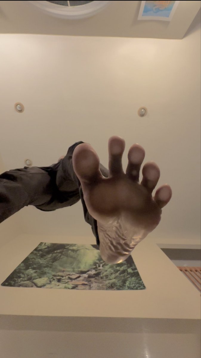 tacktyle tweet media