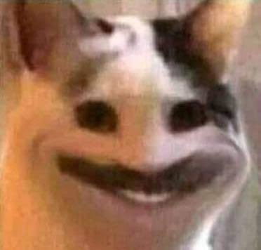 Official Catcoin tweet media