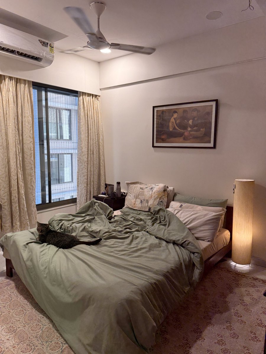 Zoya Springwala tweet media