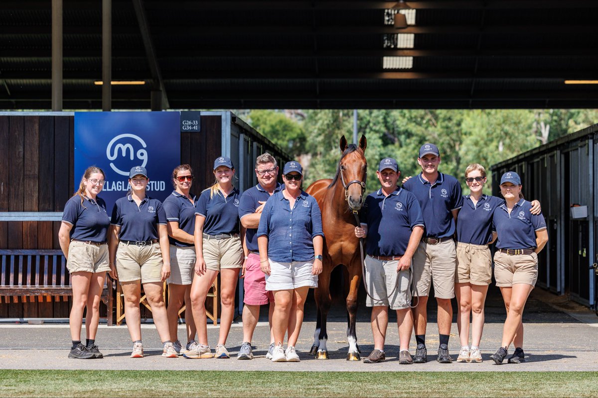 Mullaglass Stud tweet media