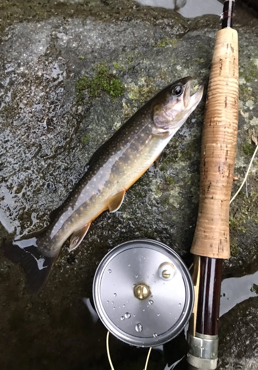 MAYFAIRkiyosato's tweet photo. さあて八ヶ岳エリアの釣り天狗の皆さま
今年も3月1日渓流釣り解禁となります、
地元の方々には年券持ってもらって、
常に情報交換したいと思っています、
年券も日釣り券もメイフェア営業時間中は扱っております、お気軽に
お立ち寄り下さい https://t.co/ZIvws80swe