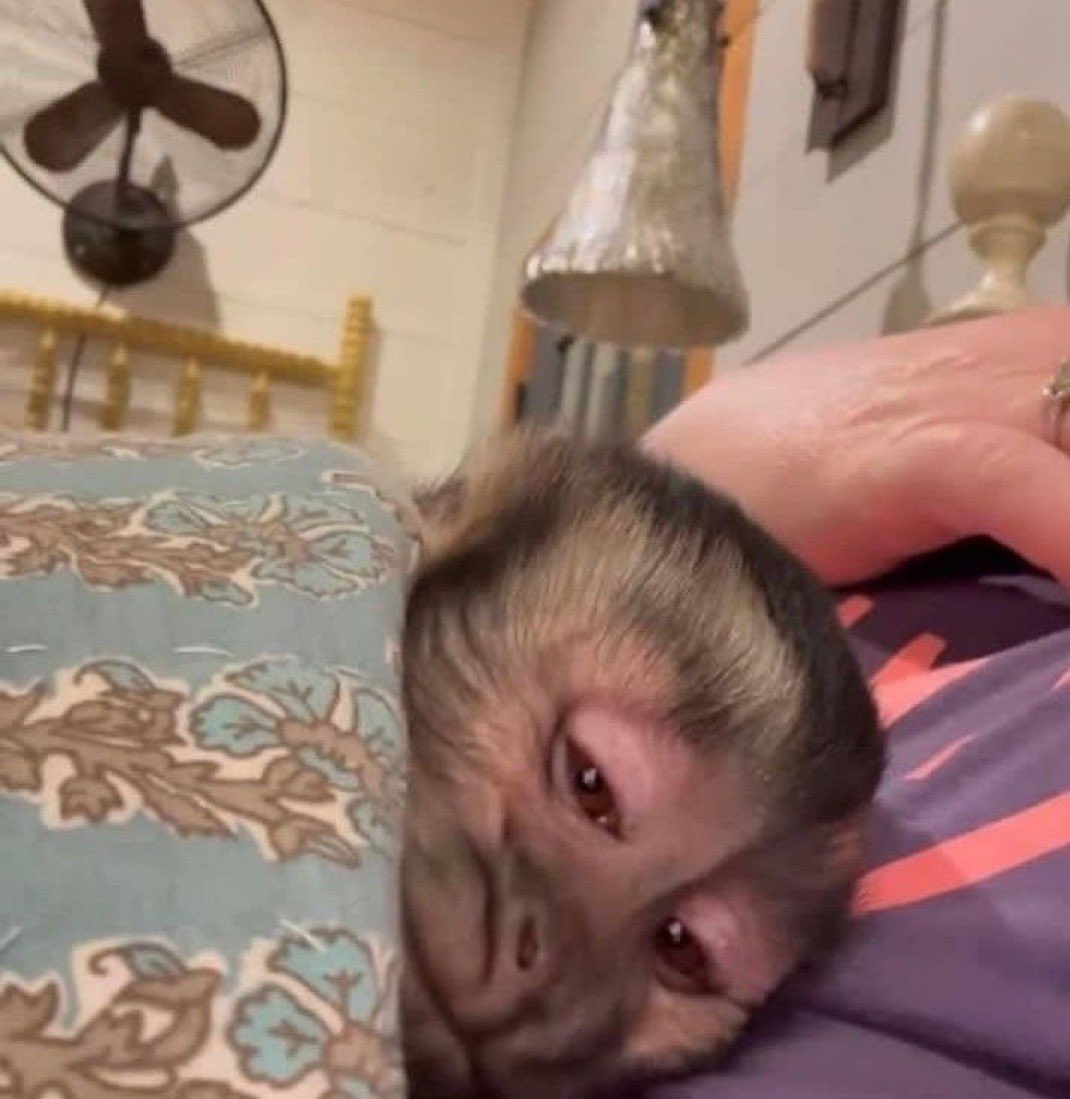 وانت تفكر تقوم تلبس ولا تكمل نومتك وتسحب على الدوام