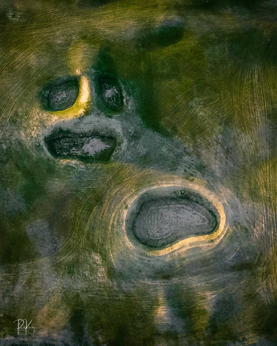 Patrick Koenig tweet media