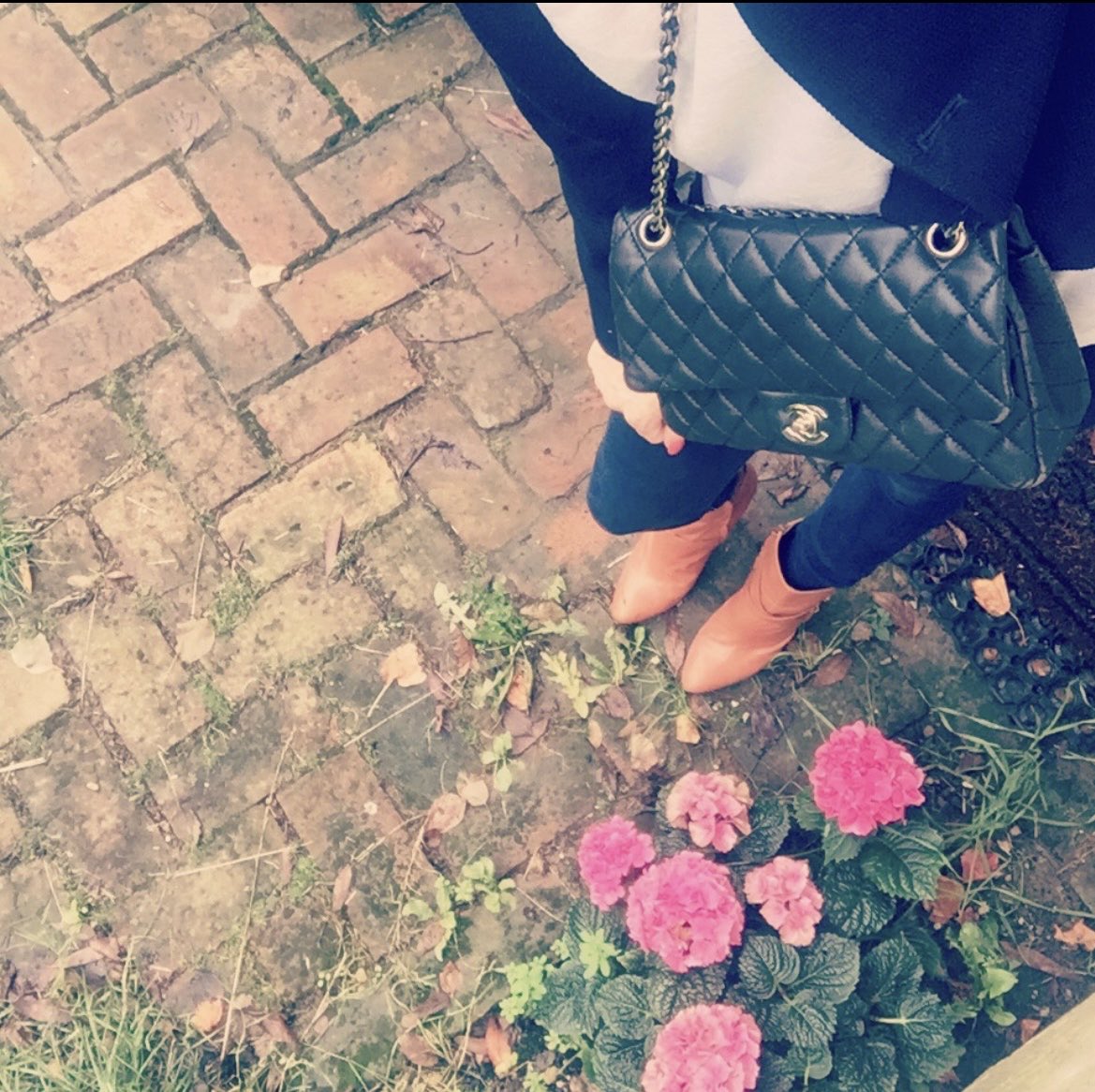 Lucia 🦊 tweet media