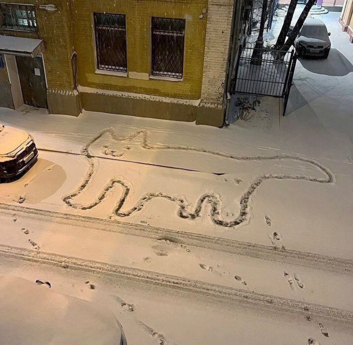 contents that ll heal your depression 🌻 (@catshealdeprsn) on Twitter photo 