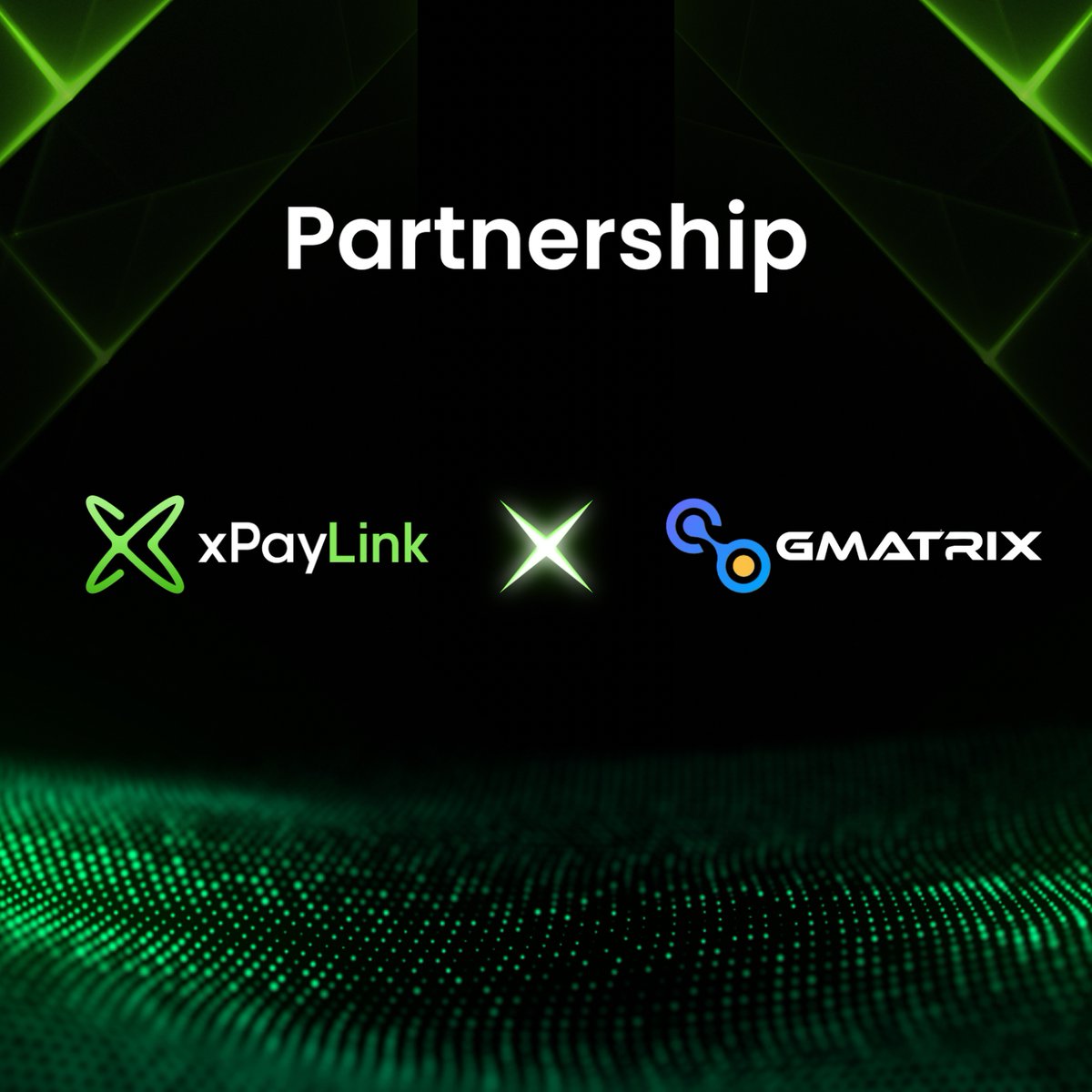 xPayLink tweet media