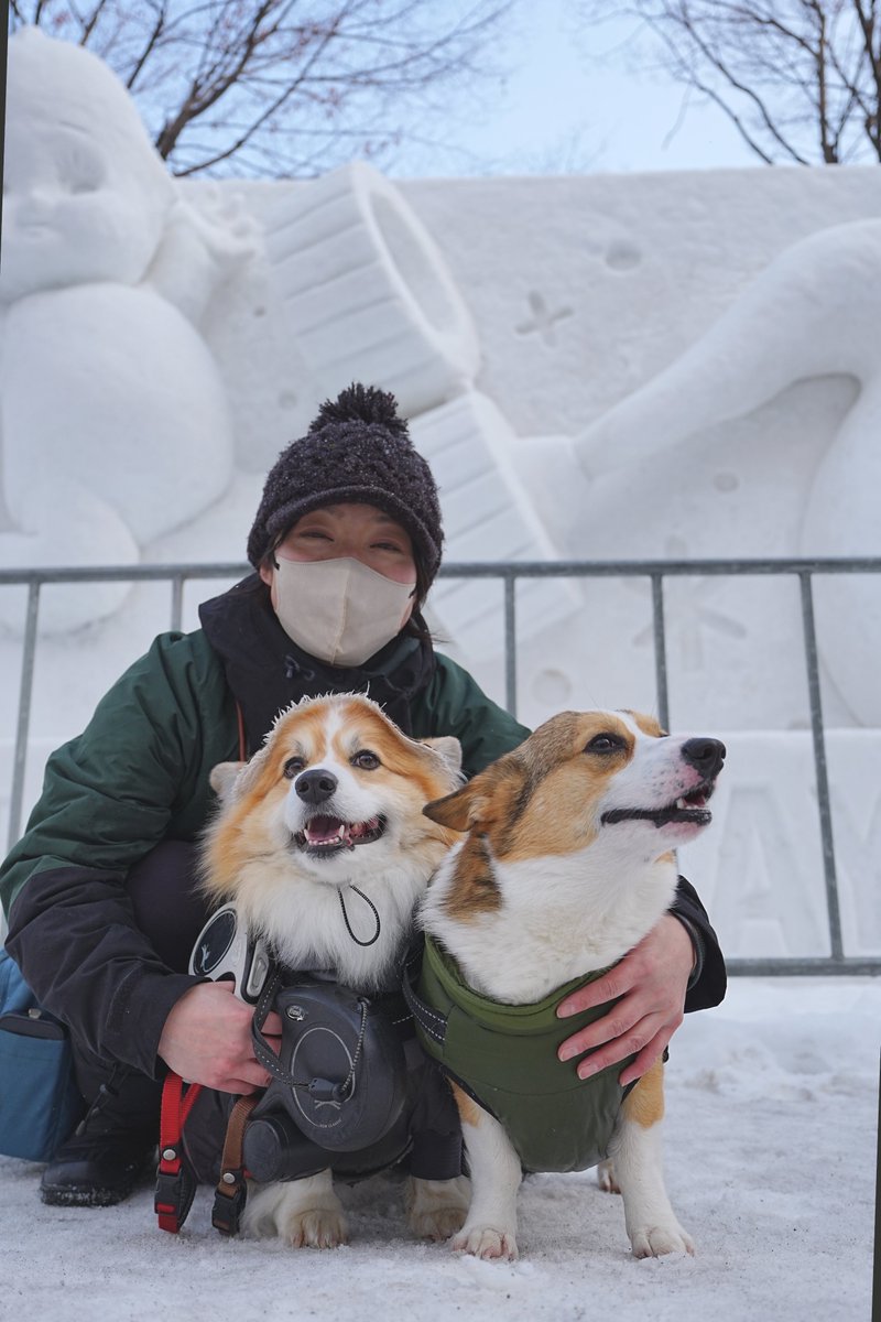 さっぽろ雪まつりに行ってきたよ！⛄ #コーギー #corgi #FX2