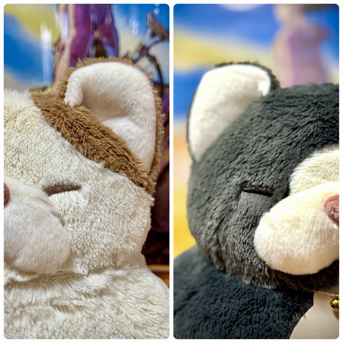 リイクニ (@amem1357) / Posts / X