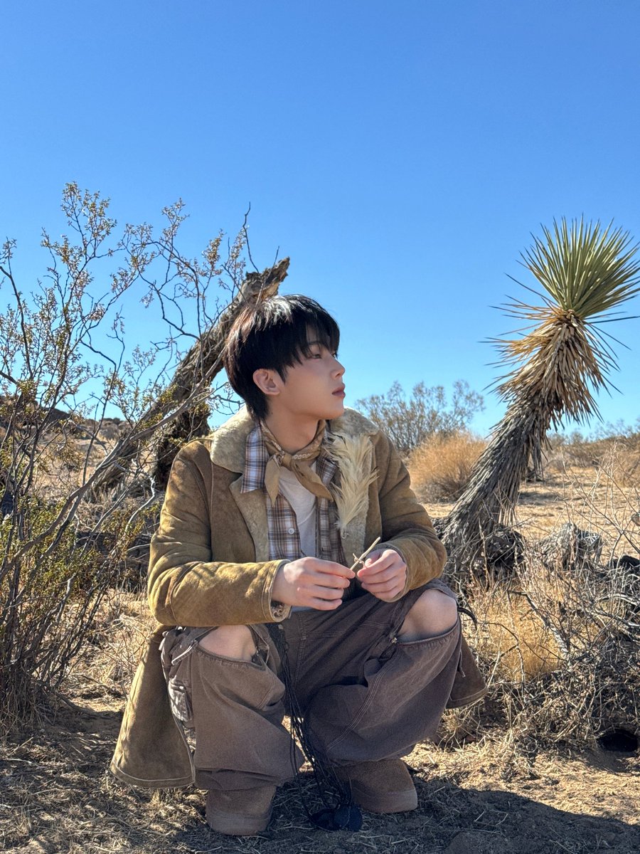 ENHYPEN WEVERSE tweet media