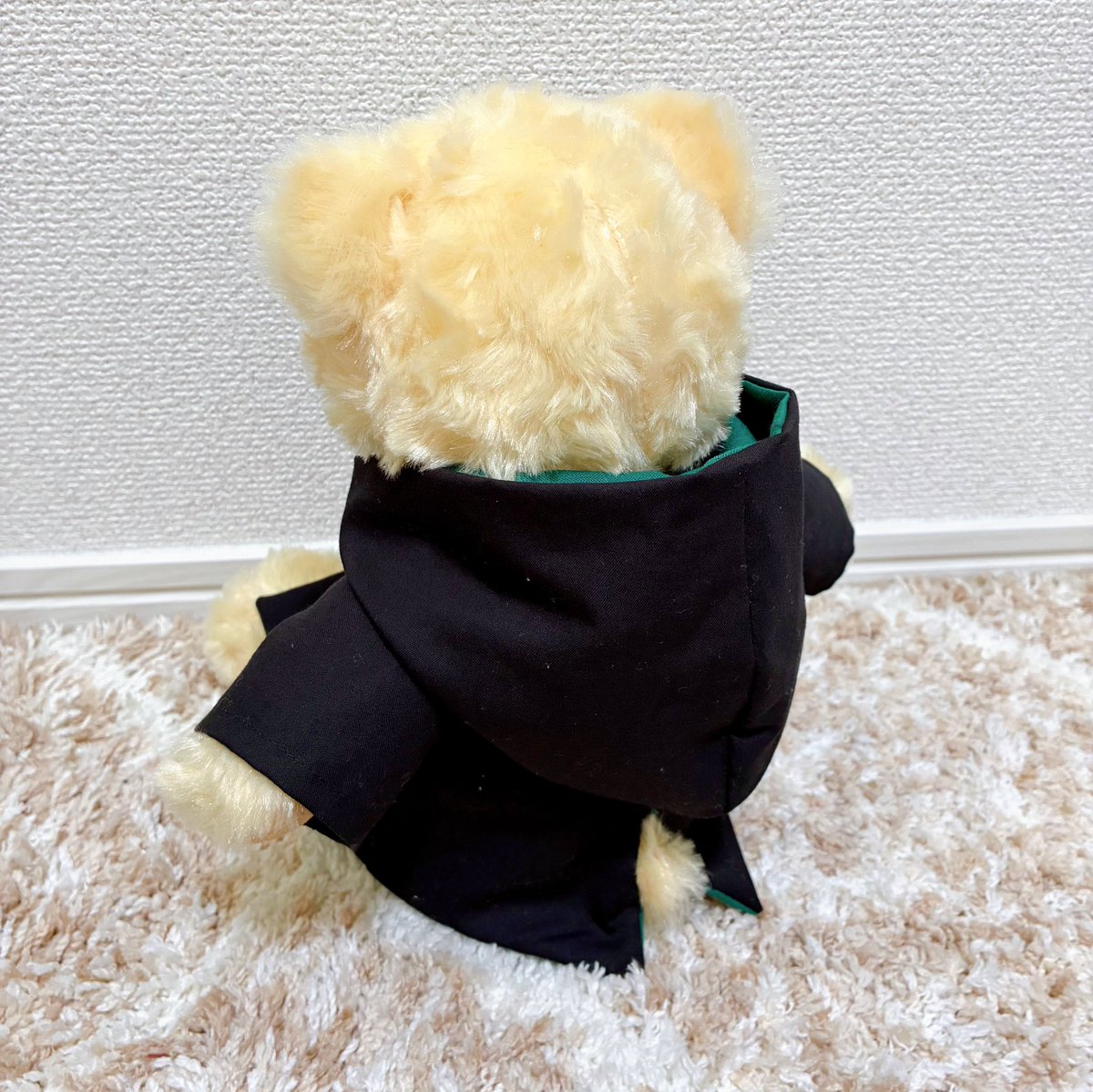 つぶあん🫘 (@tsubu_akam) / Posts / X