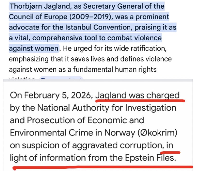 Epšteina draugs - galvenais Stambulas konvencijas virzītājs! Pedofilu elitei svarīgi sabiedrībai iestāstīt, ka normalitāte neeksistē! Bijušais Eiropas Padomes ģenerālsekretārs Jaglands, kas bija viens no galvenajiem Stambulas konvencijas bīdītājiem, tagad Norvēģijā apsūdzēts