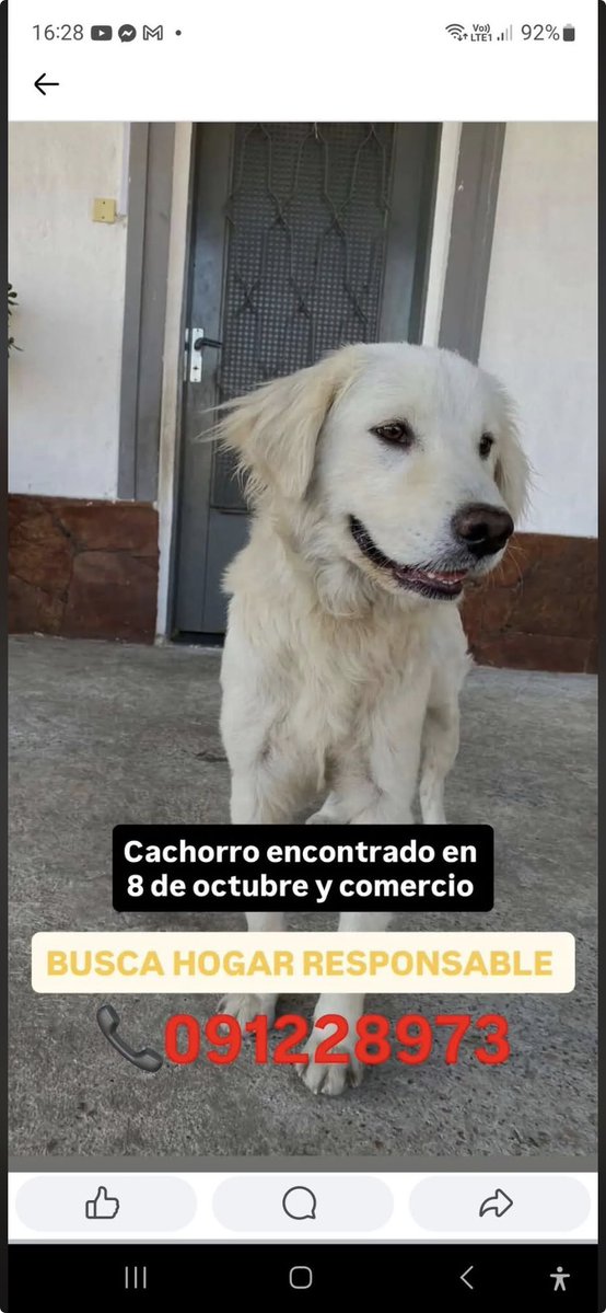 Martu Perez (@martusperez) on Twitter photo 