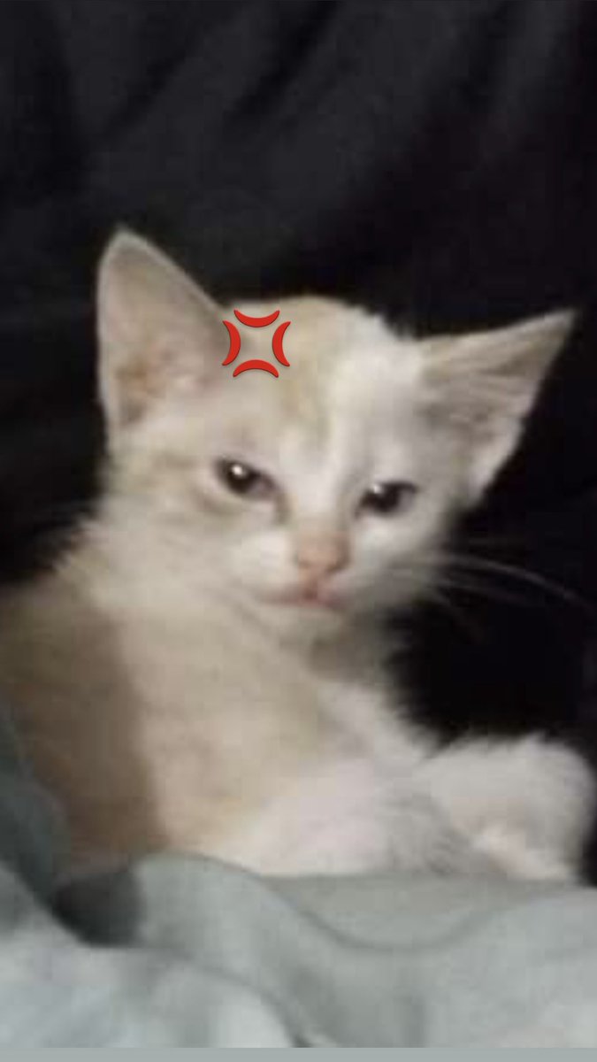 cumbershe's tweet image. แง่ง