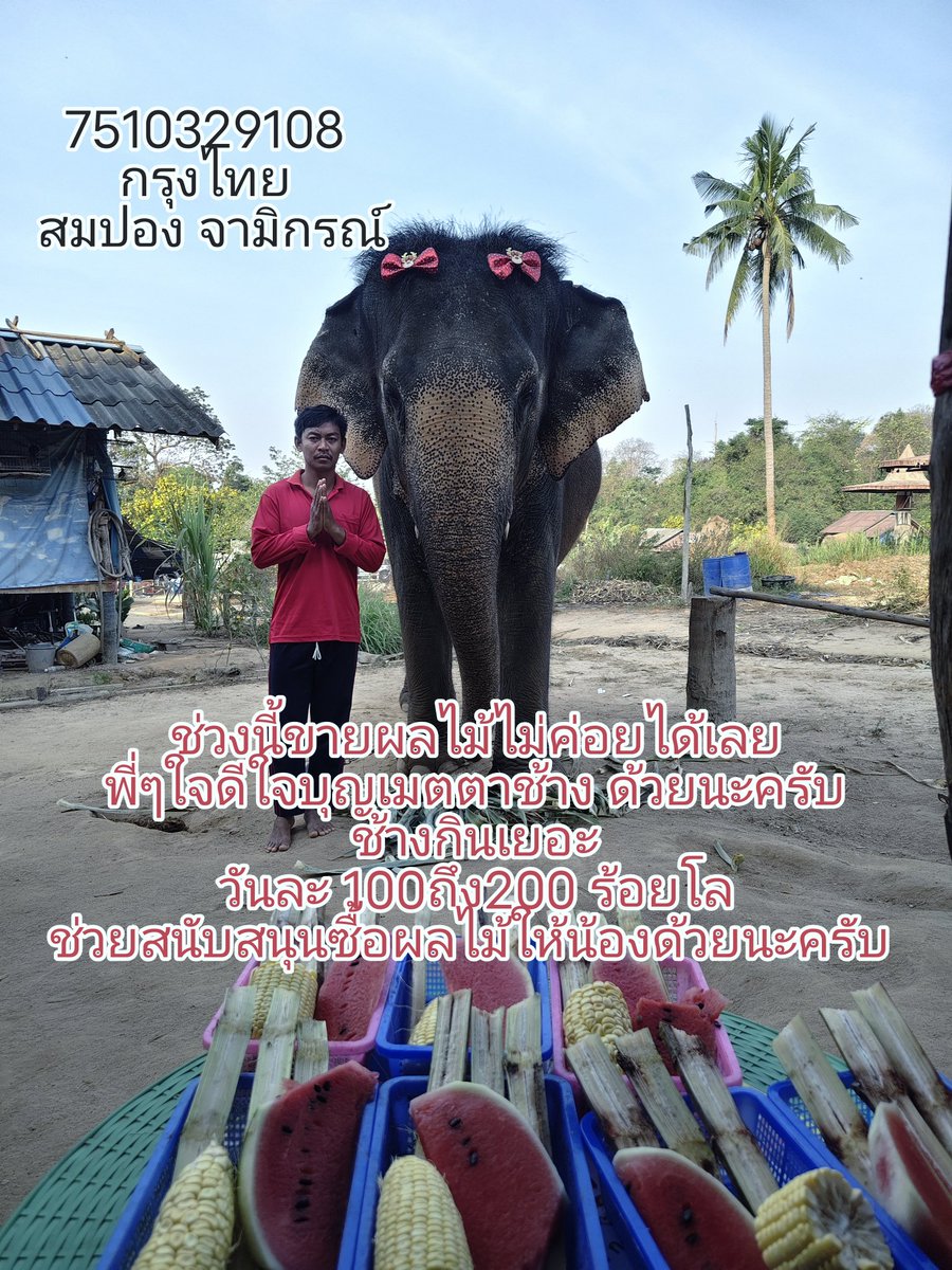 พังสมหวัง แฟมิลี่ tweet media