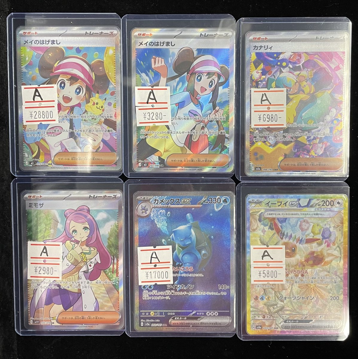 ⚡️ 入荷速報⚡️】 イーブイ SAR カメックスex SAR ミモザ SR