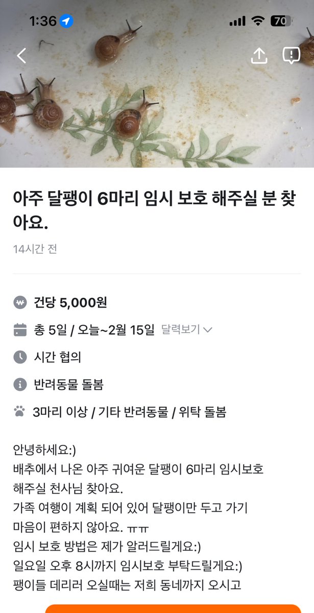 gweenka's tweet photo. 아 우리동네 당근 개웃겨 귀여워 달팽이임보 https://t.co/gUR21eBtV3