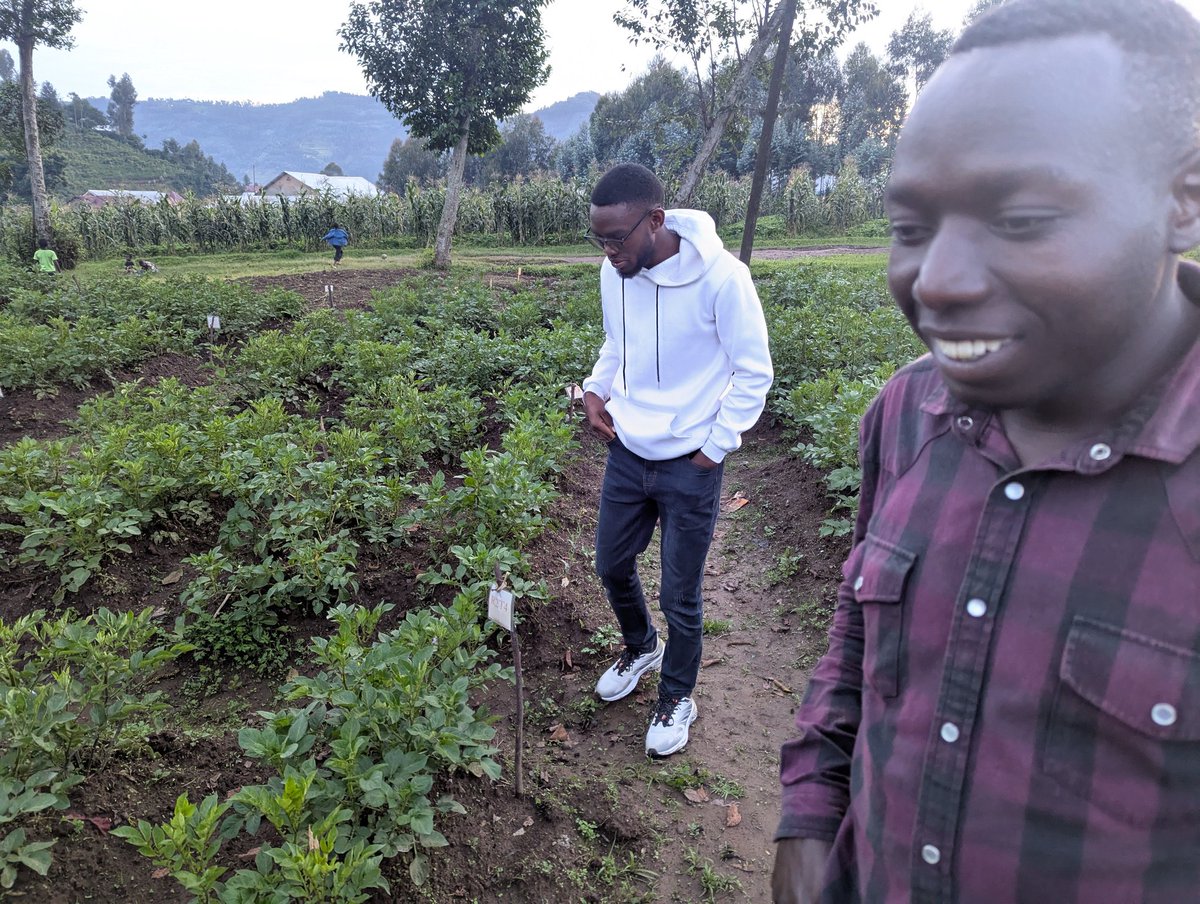 MANIRAFASHAAlb2's tweet photo. The inspection of the carrot farm was successfully completed. The carrots were found to be healthy, well-grown, and properly maintained. The farm showed good agricultural practices, including proper irrigation, weed control, and soil management.
#carrotsfarming
#Inspectation. https://t.co/fHUd9b8CoN