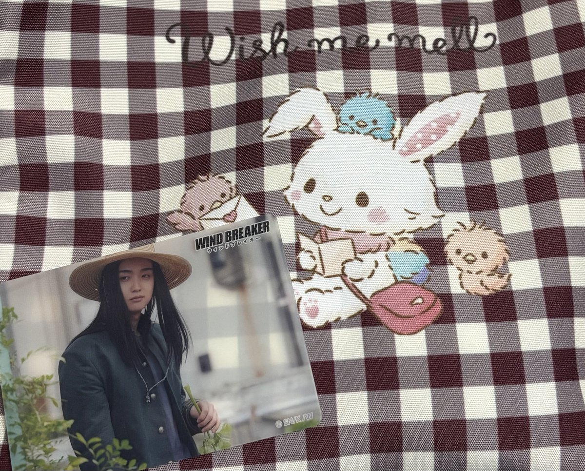 再販してたから買ってみたらやっときてくれたセロリ杉下🌱！！