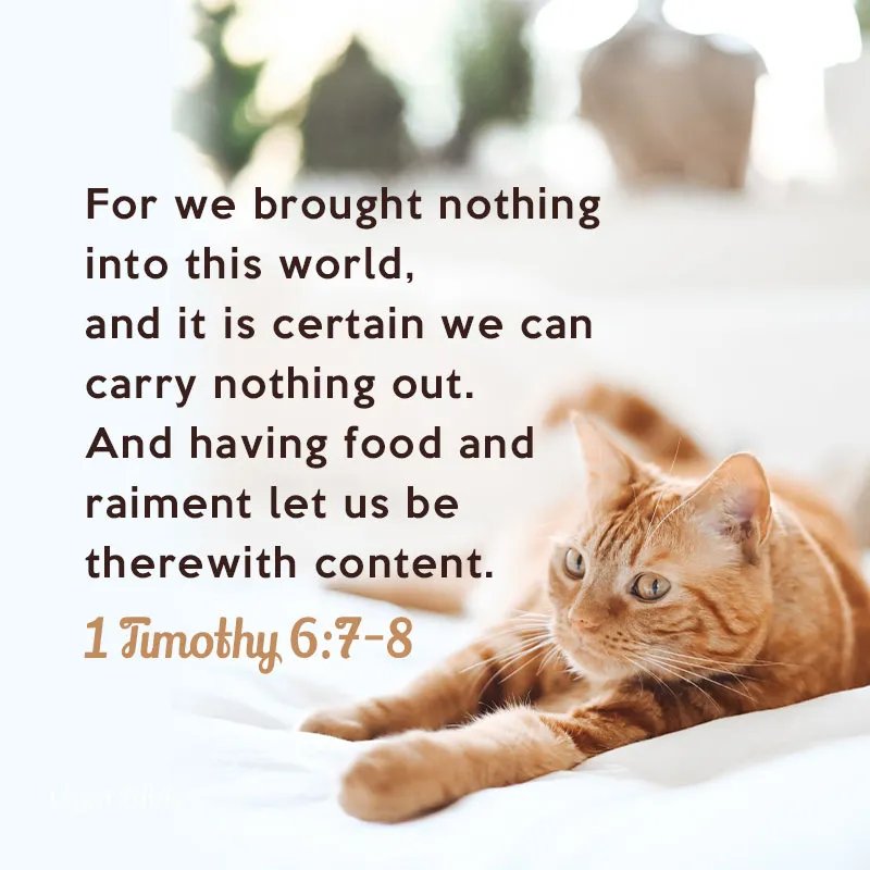 Oyewolesam28's tweet image. INSPIRATIONAL 

This bible verse sums up the reason we need to be content: nothing that we attain on this earth, and is of this world, will last.

Credit to:
#kjvbible #God #contented #prioritize #material #Possession #earth #ourgoal #SetYourEyes #thingsofGod #highlights